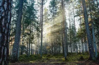 Arktische Familien-Wanderung mit Picknick: Fotografie & Lagerfeuer