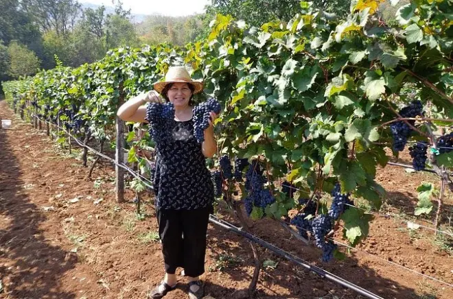 Degustazione vini a Kotor: Strada austro-ungarica e lago di Skadar