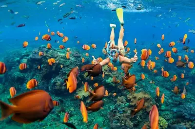 Snorkeling a Kuta: Blue Lagoon, Jungle Swing e risaie