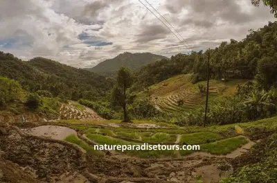 Knuckles Spice Trail Trek: Tea Forests & Village Culture, Kandy
