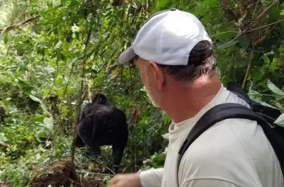 Gorilla & Chimp Trek Safari Bwindi Kibale 4-Day