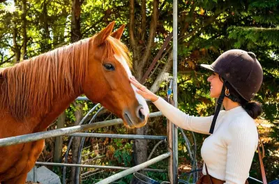 Sentieri tra i vigneti nelle colline del Chianti toscano a cavallo