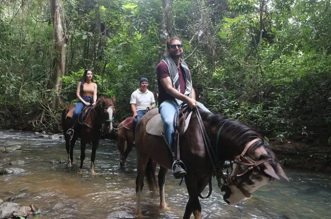 Equitazione vicino a Panama City: 2 ore su sentieri nella giungla