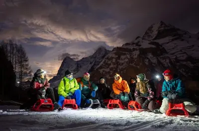 Night Sledding from Interlaken: Sled through Alpine Forest