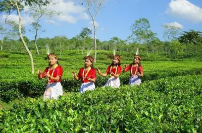 Bangladesh nature et culture : 5 jours depuis Dhaka