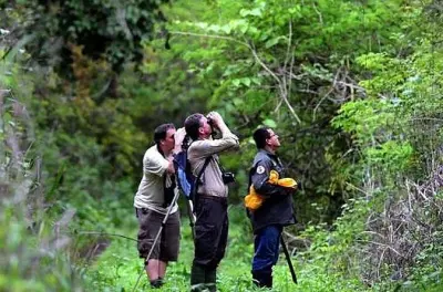 Birdwatching a Cerro Blanco: Oltre 240 specie di uccelli
