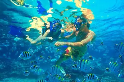 Schnorcheln in Cabo Pulmo: 226 Fischarten und lebendes Korallenriff