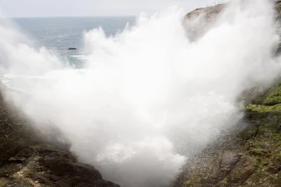 Visit ensenada’s la bufadora blowhole on a guided city tour with return transport from the cruise port. experience local markets and unique sights in one day.