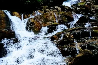 Kanneliya Rainforest tour from Hikkaduwa: Wildlife and waterfall
