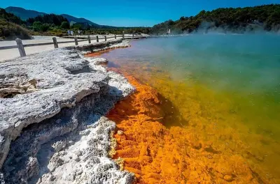Tour privato da Auckland a Wai-O-Tapu e foresta di Redwoods