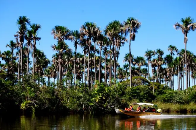 Tour por el río Preguiças desde Barreirinhas en lancha rápida