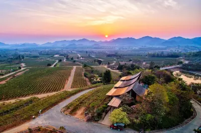 Monsoon Valley Hua Hin vineyard tour and wine tasting