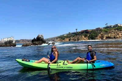 Laguna beach, tour in kayak sul pacifico: scivola sopra le foreste di kelp, avvista i leoni marini e pagaia con guida esperta. attrezzatura e acqua inclusi.