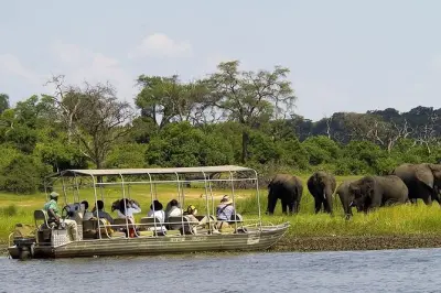 Chobe Day Trip from Livingstone: Game Drive & River Safari