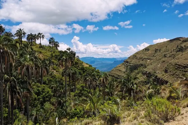 Randonnée 2 jours à El Palmar depuis Sucre : Faune andine