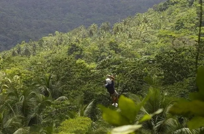 Ziplining in Rodney Bay: Drive a buggy to the lines