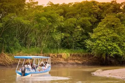 Palo Verde Wildlife Tour from Playa Hermosa: Tempisque River boat
