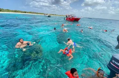 Catalina Island: Snorkeling, catamarano e pranzo incluso