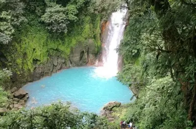 Rio Celeste Waterfall & Sloth Tour: Volcano Hike with Lunch