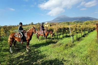 Explore as encostas vulcânicas do vesúvio a cavalo, com vistas incríveis da baía de sorrento, transporte saindo de pompeia e todo o equipamento incluso.