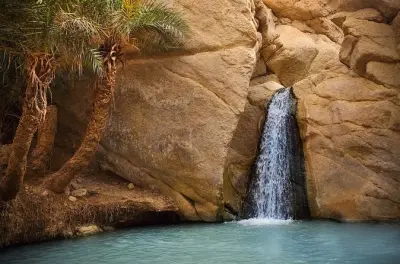 Tozeur oases and Star Wars film sites: 4WD day tour