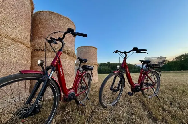 Fontainebleau: Bicicleta elétrica pela floresta e vilarejos do Sena