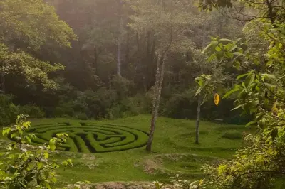 Hike Lake Atitlan highlands with Maya guide and forest walk