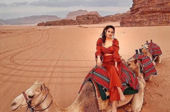 Private Transfer Petra to Wadi Rum: Professional Driver