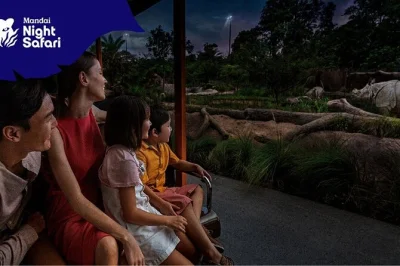 Step into singapore’s night safari for up-close wildlife encounters, fiery performances, and four walking trails. includes entry ticket and flexible arrival.