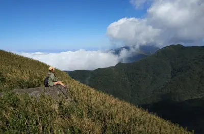 Senderismo de un día en Yangmingshan desde Taipei: Monte Qixing