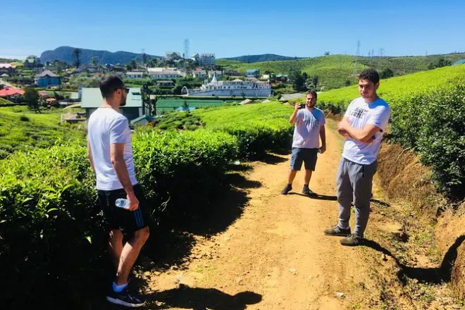 Nuwara Eliya Tea Fields Tour: Gregory Lake & Pedro Factory
