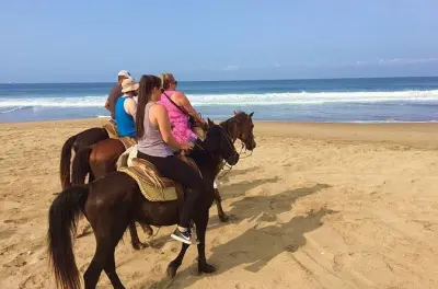 Balade à cheval à Playa Larga : Plage et cocoteraie