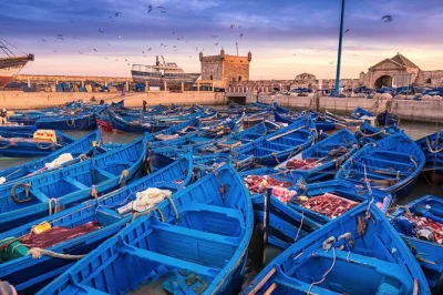 Siente la brisa atlántica en essaouira, pasea por sus calles azul y blanco, prueba el café local en chichaoua y descubre todo con guía. incluye recogida en marrakech.