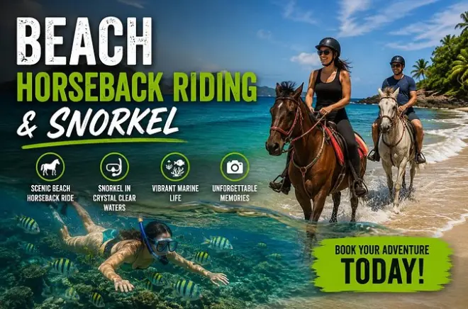 Snorkeling à Tamarindo avec balade à cheval sur les plages