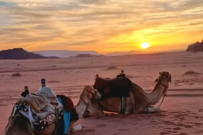 Petra y Wadi Rum 2 días desde Amman: Safari en jeep y mar Muerto
