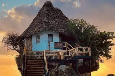 Kizimkazi : Tortues, grottes et déjeuner avec vue sur l’océan