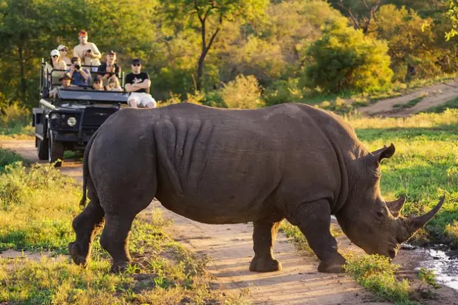 Safari de 5 días en Kruger con safaris y ruta Panorama