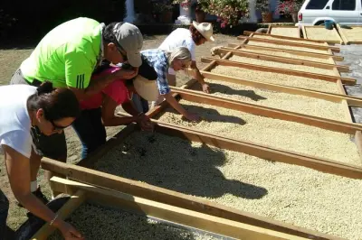 Café de Coatepec depuis Veracruz : Ferme, torréfaction, dégustation