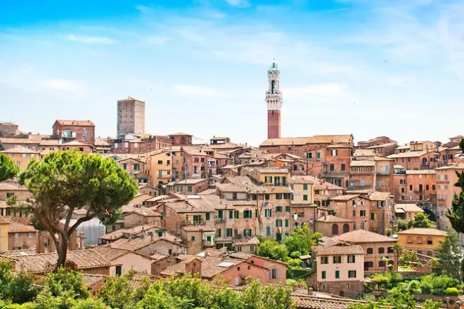 Siena and San Gimignano day trip from Pisa: Small group tour