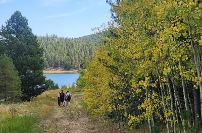 Hike the Rockies Half Day Tour: Small Group from Denver