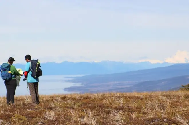 Sentiero nella foresta nativa di Punta Arenas, Patagonia