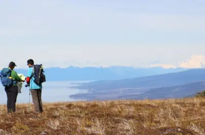 Sentiero nella foresta nativa di Punta Arenas, Patagonia