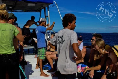 Start your morning diving off flamingo with a local guide, exploring volcanic rock reefs and seasonal marine life. includes equipment, snacks, and certified dives.