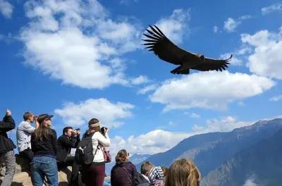 Colca Canyon 2-day tour from Arequipa to Puno