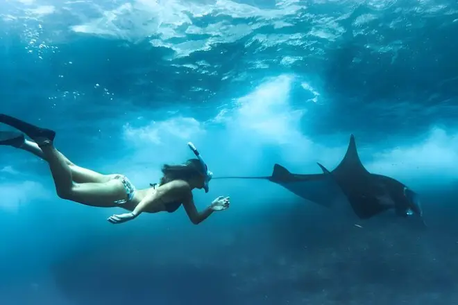 Schnorcheln ab Bali: Nusa Penida mit Mantarochen