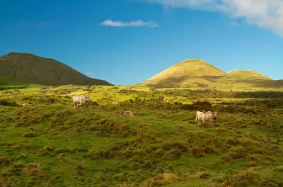 Trilha guiada de Serra do Topo à Fajã dos Vimes: Descida de 5,5 km