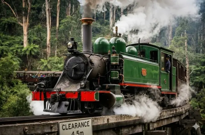 Puffing Billy Railway & Penguin Parade private Tour