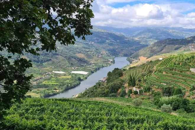 Douro Valley Private Tour: Winery, Boat & Viewpoint