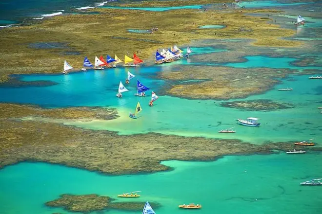 Trasferimento privato puntuale da Recife a Porto de Galinhas