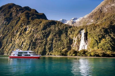 Erlebe die wilde schönheit von milford sound im glasdach-bus ab te anau, spaziere zu den mirror lakes, koste frisches bergwasser am monkey creek und genieße eine geführte bootstour.